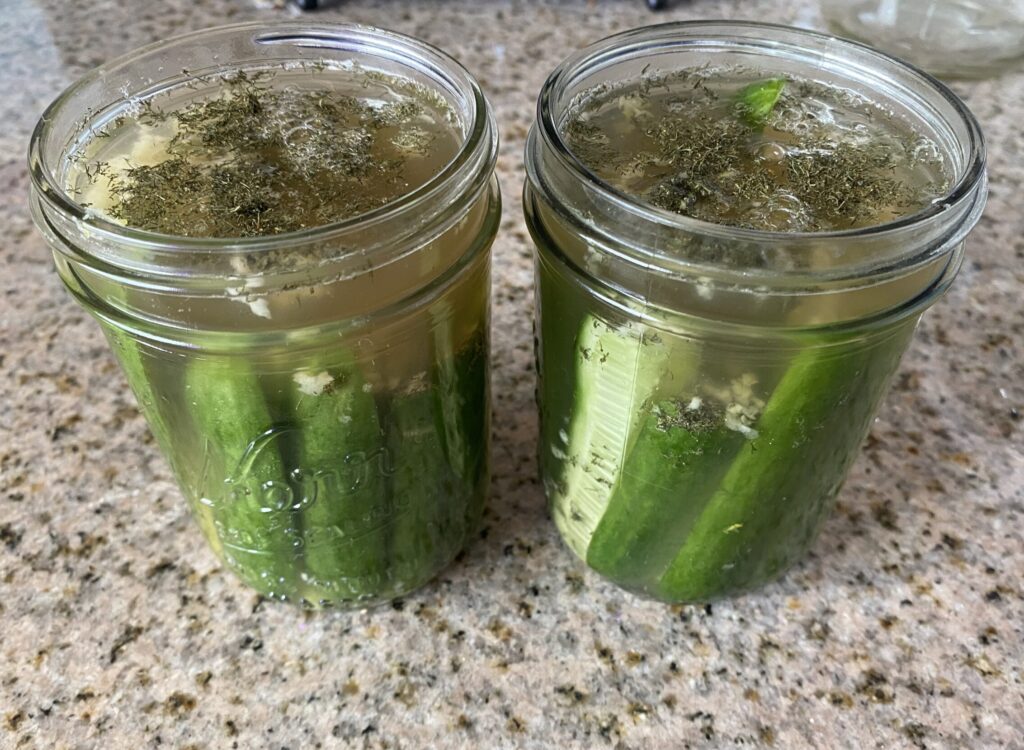 Two open pint jars of dill pickle spears
